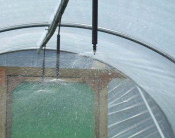 Polytunnel Overhead Spray Irrigation, 50ft Long, 10ft Cover
